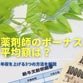 薬剤師のボーナス平均額は？年収を上げる3つの方法も解説！ 