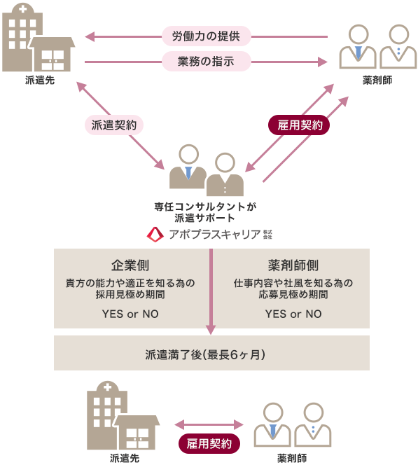 専任コンサルタントが派遣サポート → 企業側：貴方の能力や適正を知る為の採用見極め期間、薬剤師側：仕事内容や社風を知る為の応募見極め期間 → 派遣満了後（最長6ヶ月） → 派遣先と薬剤師の間で雇用契約